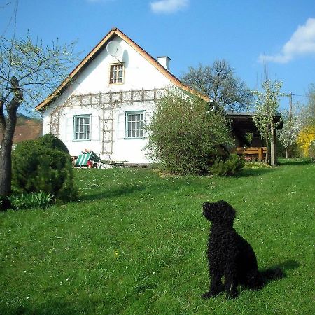 Beim Schachnerhaus Villa Pöllauberg Exteriör bild